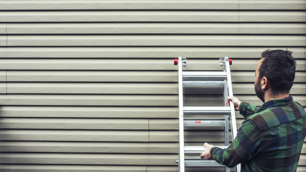 Best Brick Veneer Siding  in Burbank, CA
