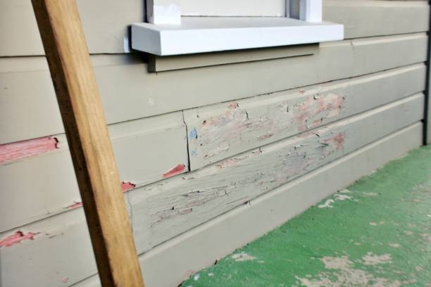 Best Fiber Cement Siding Installation  in Burbank, CA
