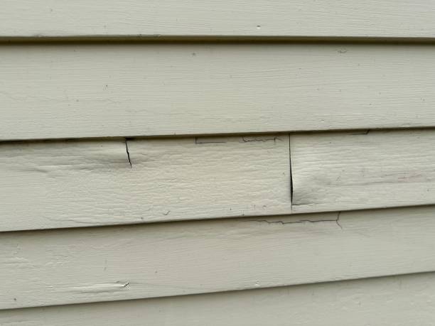 Best Custom Siding Design  in Burbank, CA